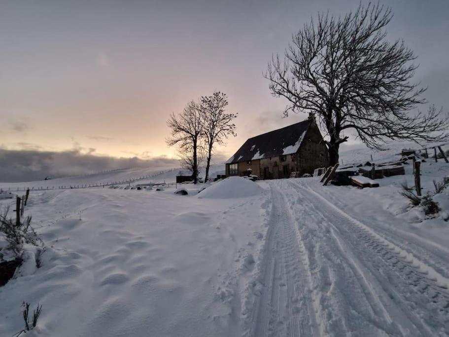 La Ferme De Jouane Besse-et-Saint-Anastaise