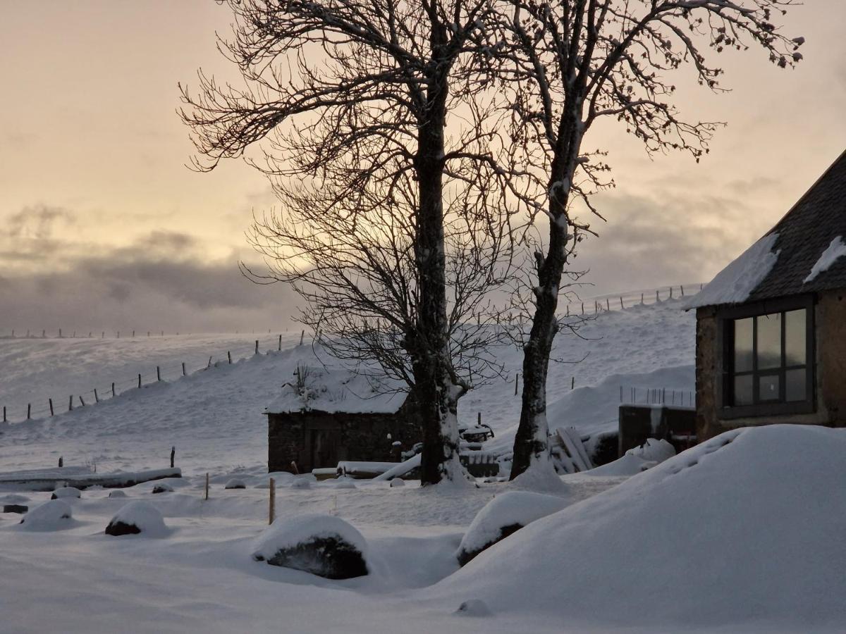 La Ferme De Jouane * Besse-et-Saint-Anastaise
