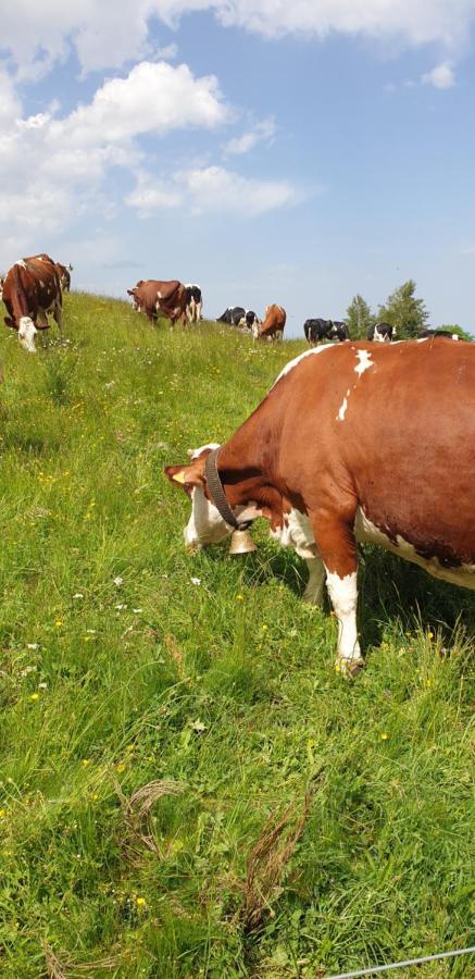La Ferme De Jouane *