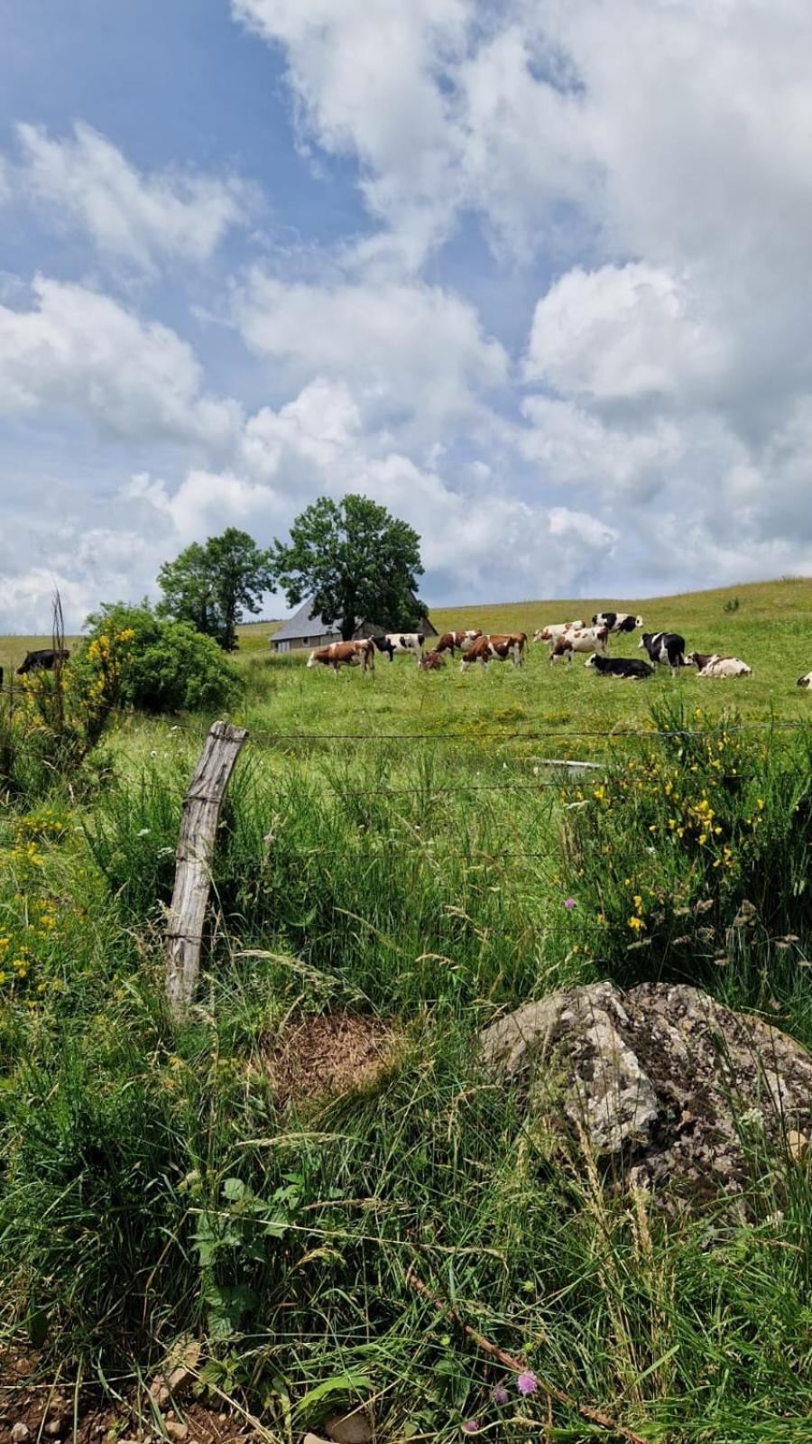 La Ferme De Jouane