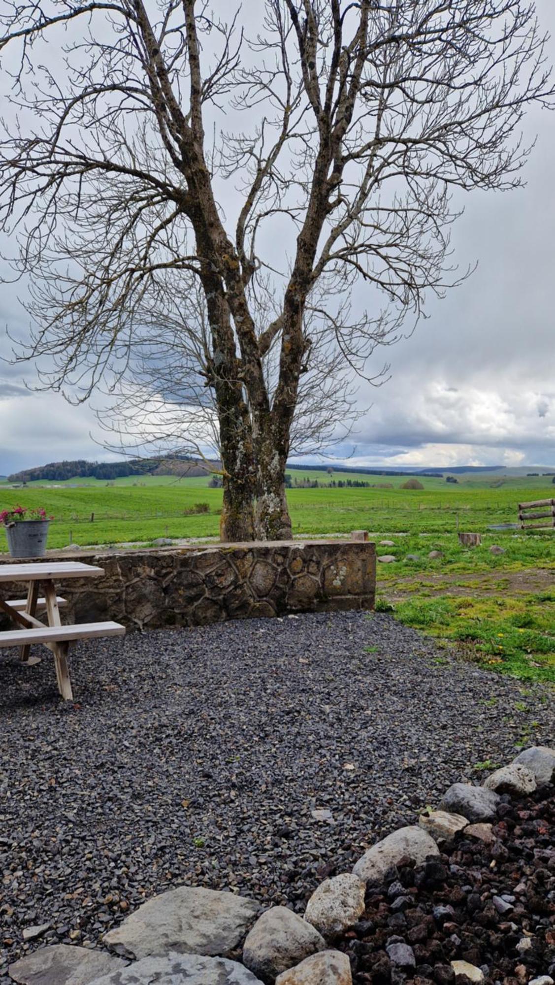 La Ferme De Jouane Holiday home Besse-et-Saint-Anastaise